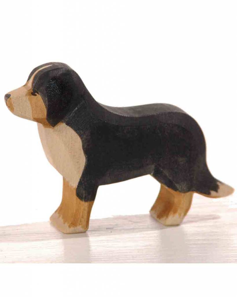 Ostheimer-Berner-Sennenhond-1