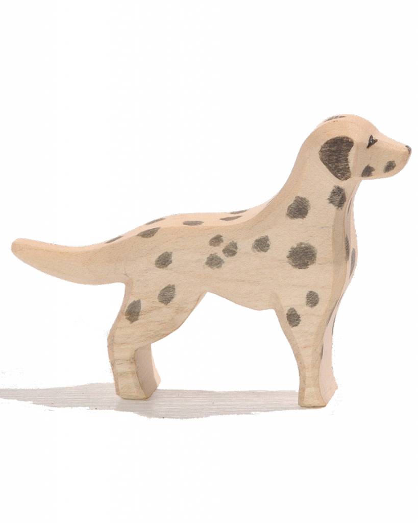 ostheimer-dalmatier-1