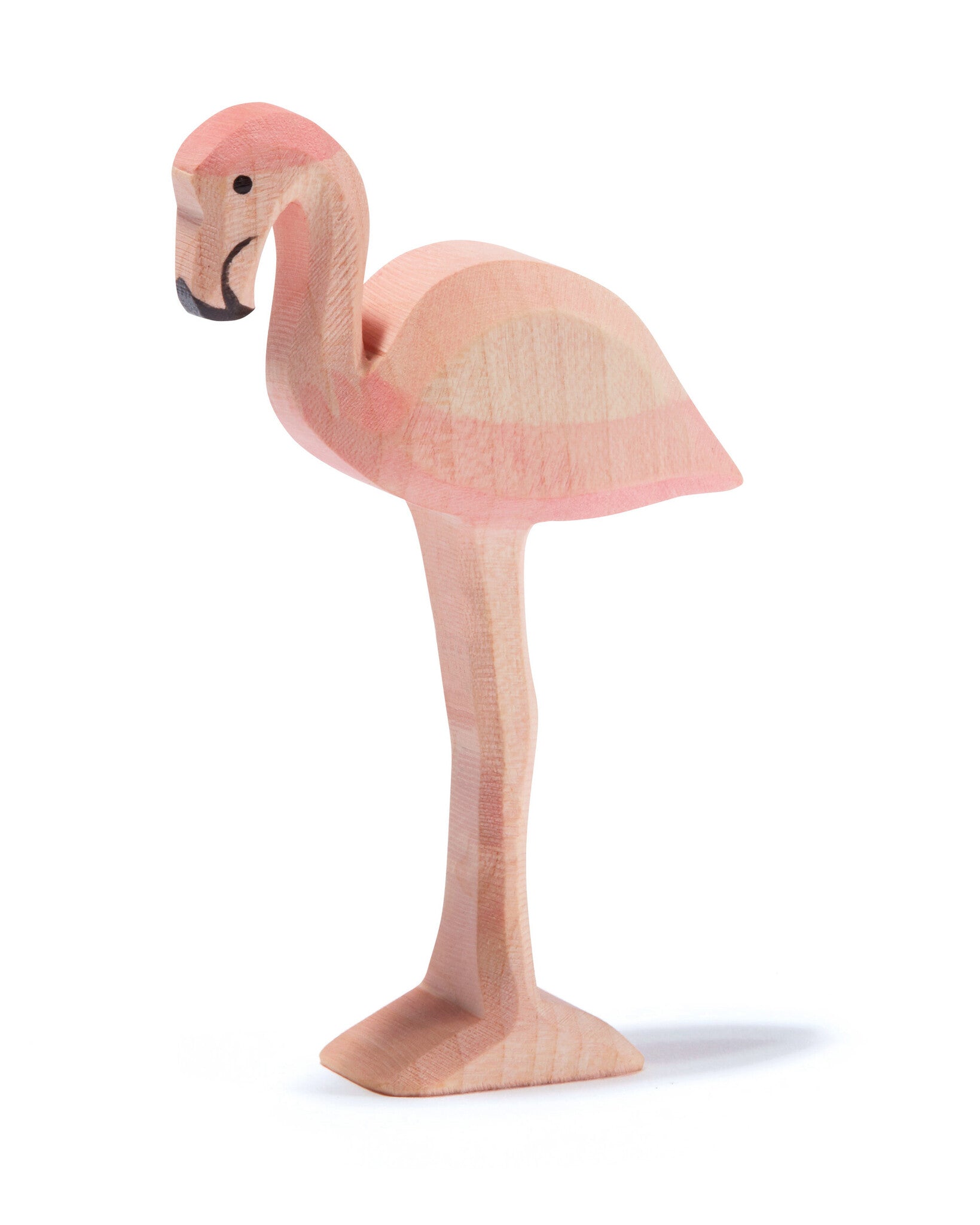 Ostheimer flamingo