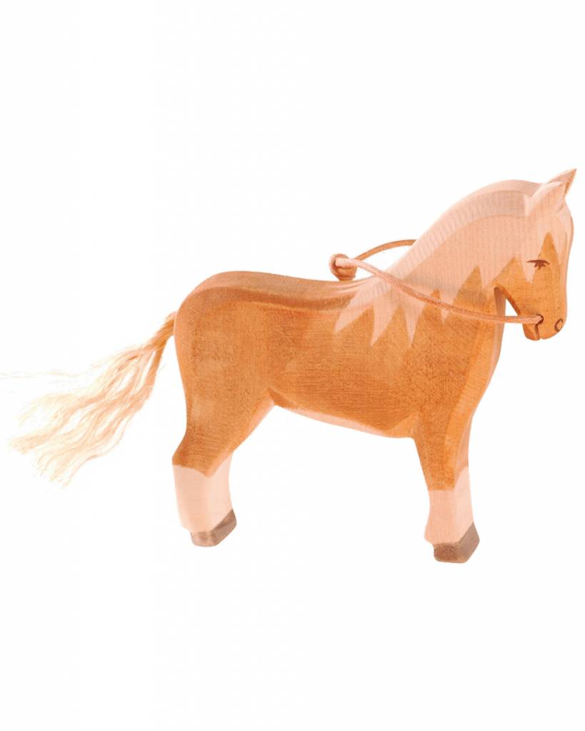 ostheimer-haflinger-paard-1-2