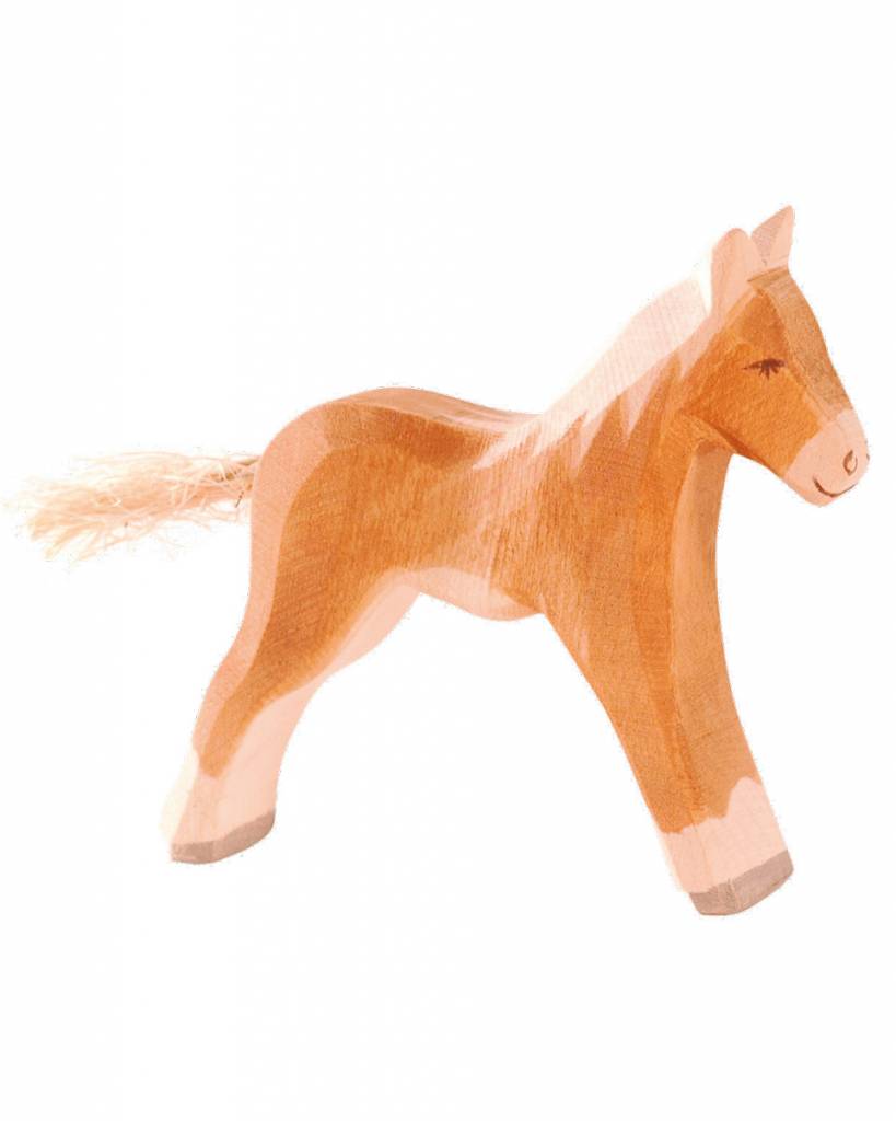 ostheimer-haflinger-veulen-1-2