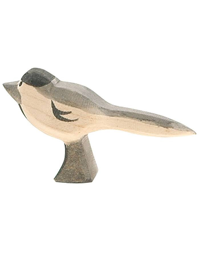 ostheimer-kwikstaart-vogel