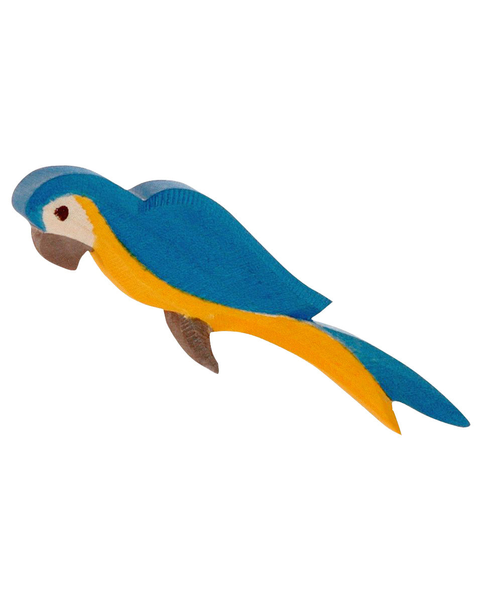 Ostheimer papegaai - blauw