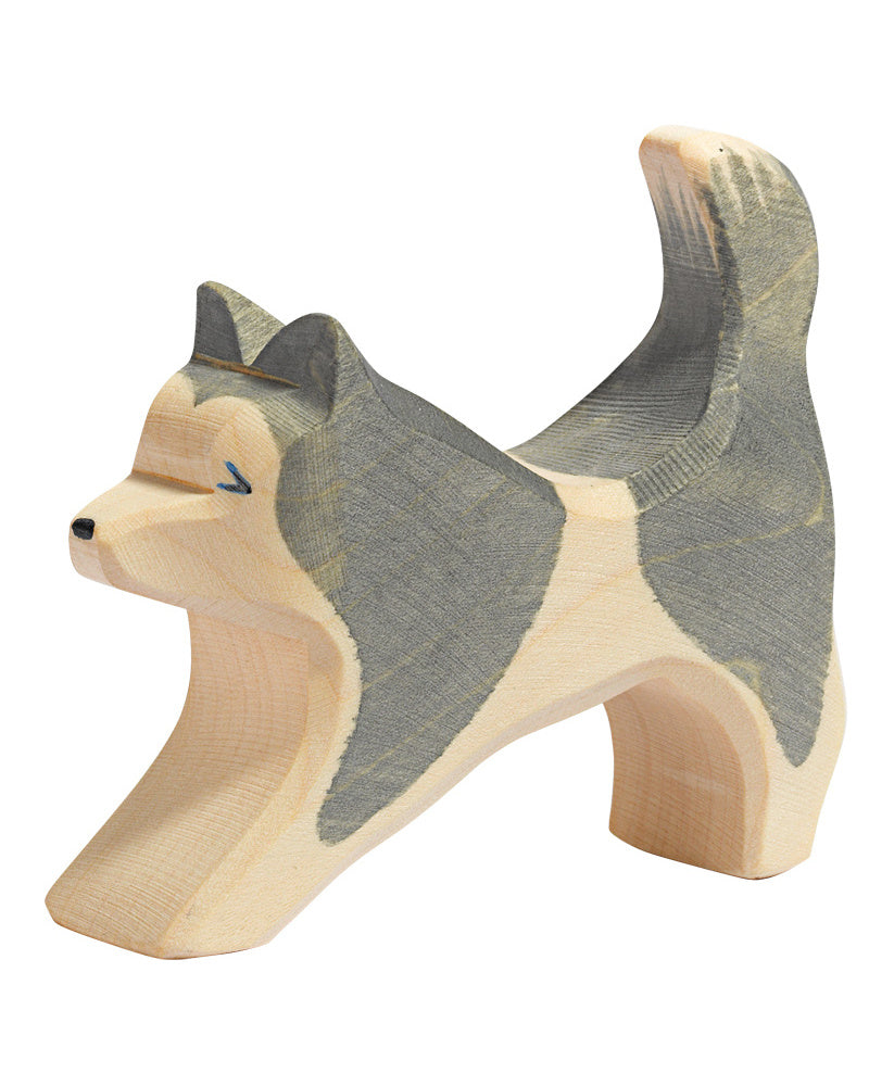 Ostheimer schlittenhund laufend 29008
