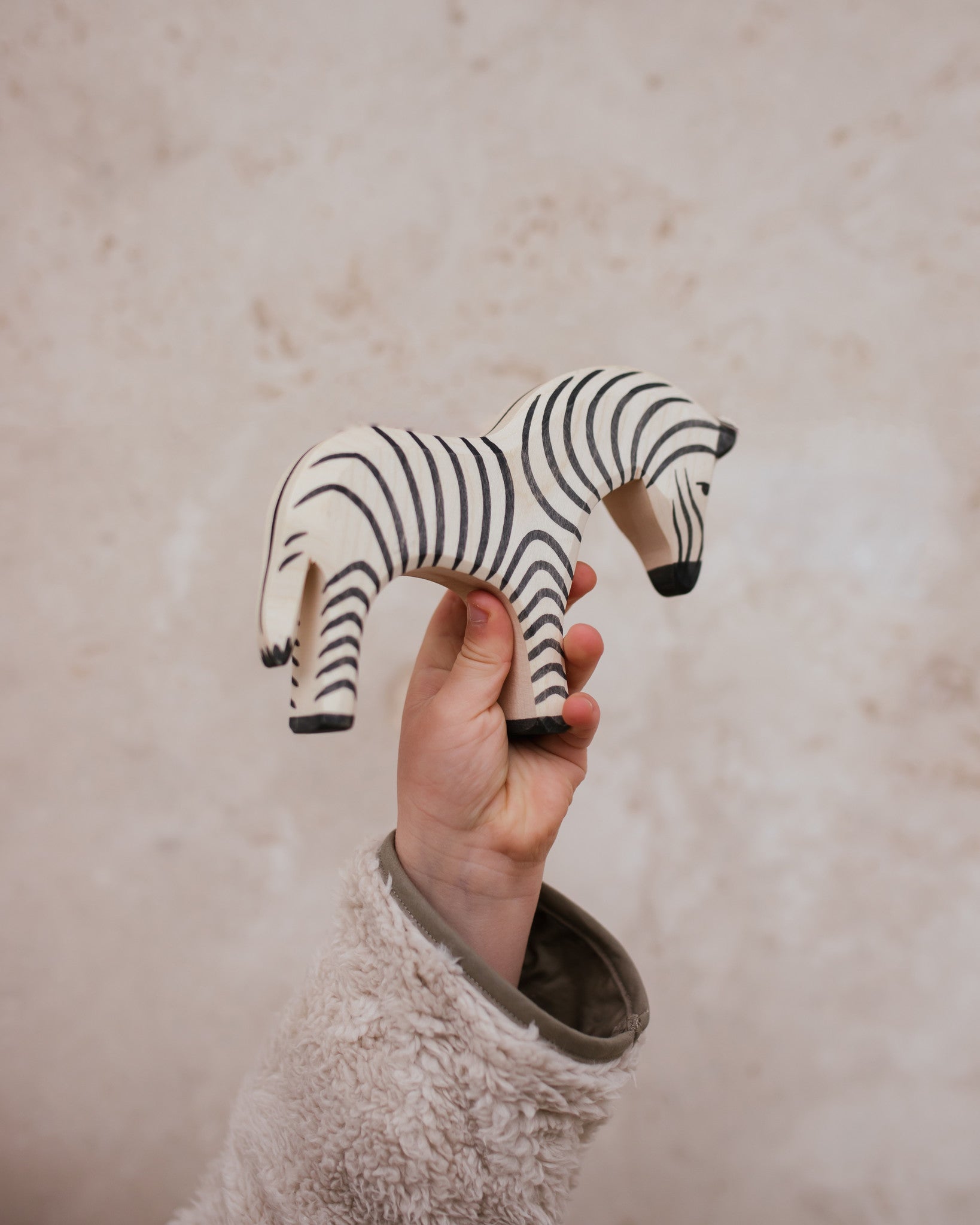 Ostheimer zebra copyright Ziloen