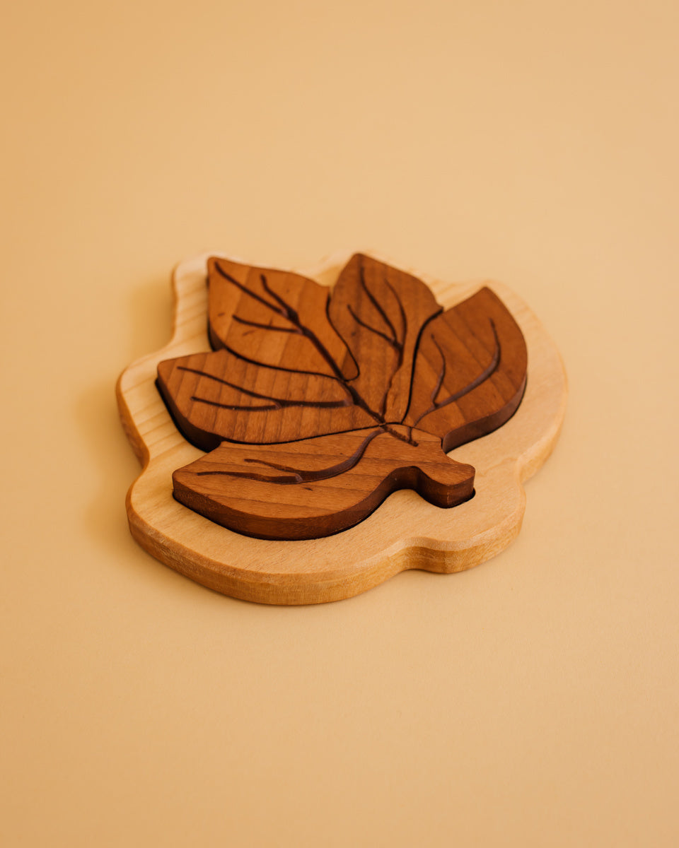 Oyuncak houten bladpuzzel