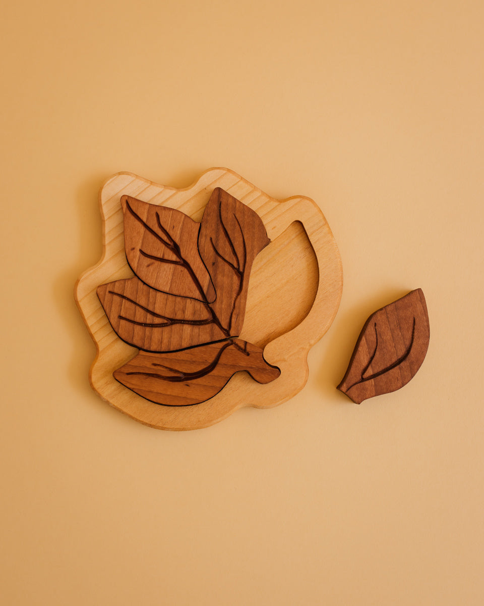 Oyuncak wooden leaf puzzle