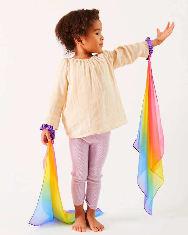 pols-zwaailint-rainbow