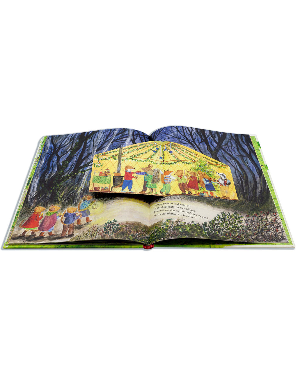 Prentenboek Het bos van muis Alice Melvin