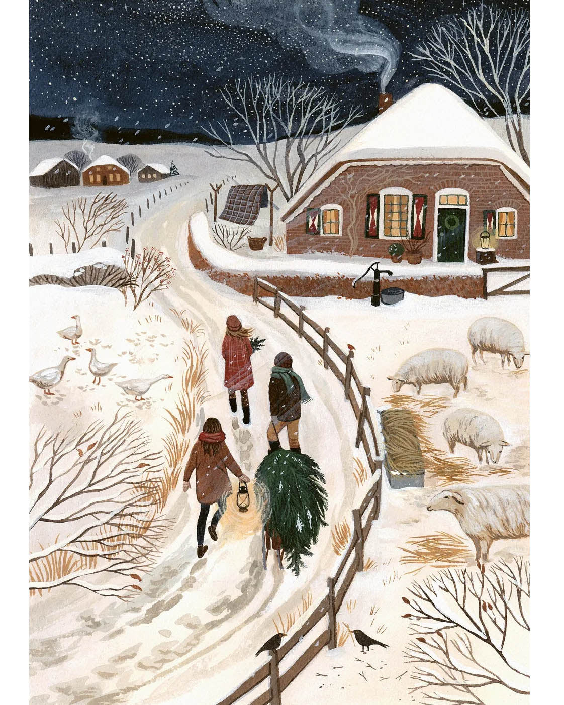 Robin Pieterse december_2