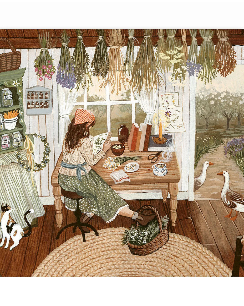 Robin Pieterse the herbalist