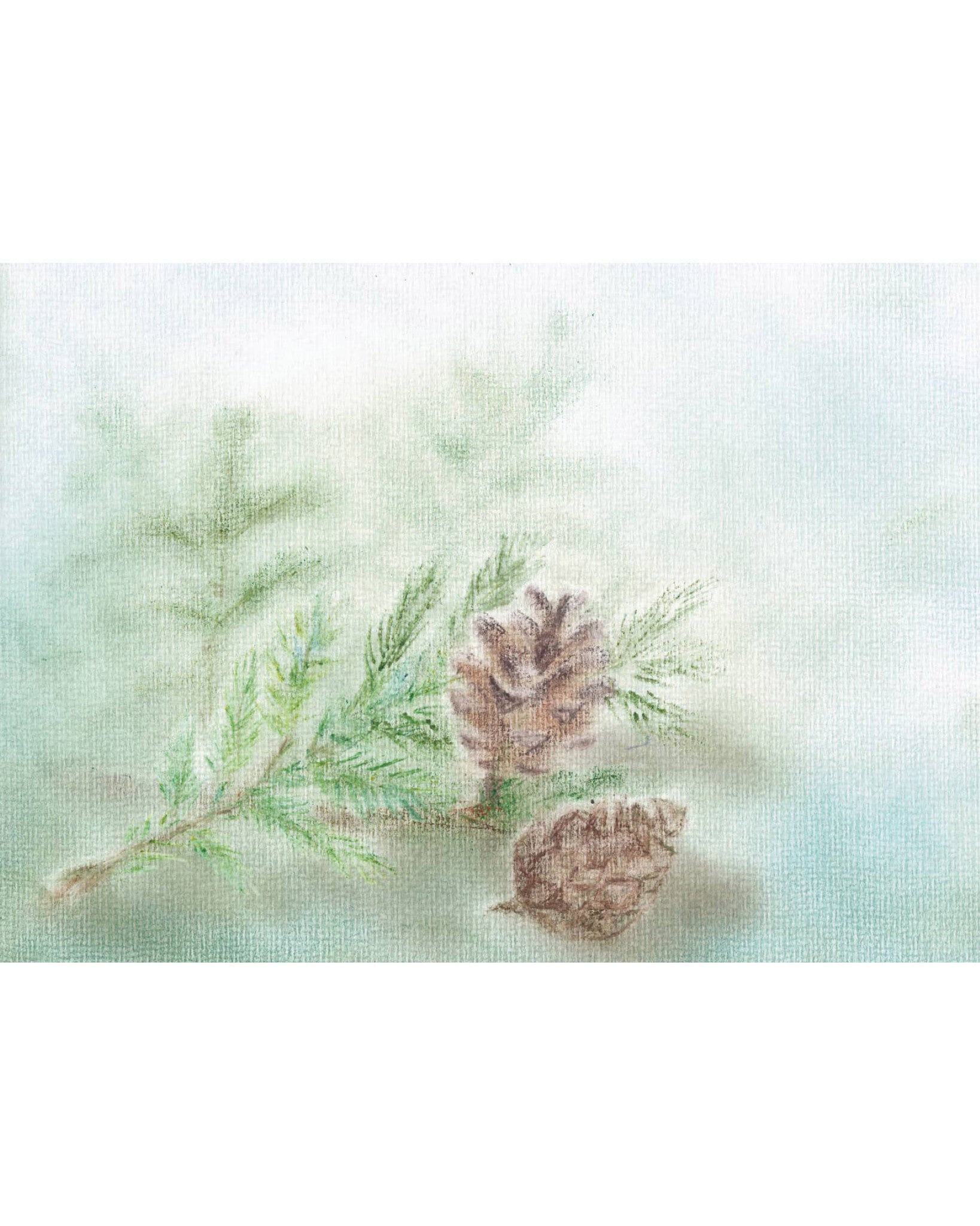 Seccorell dennenappels 1
