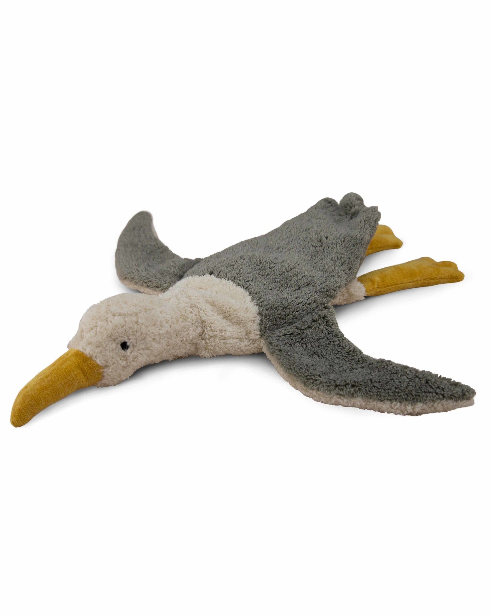 Senger seagull