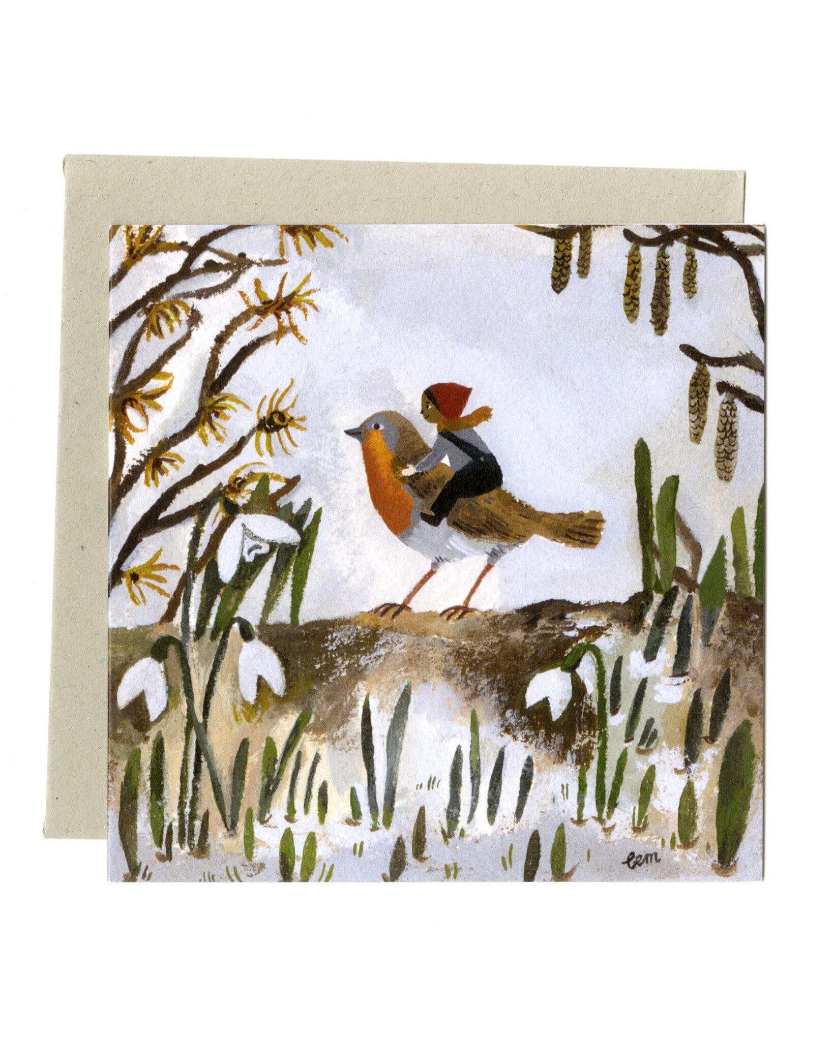 The robin 1
