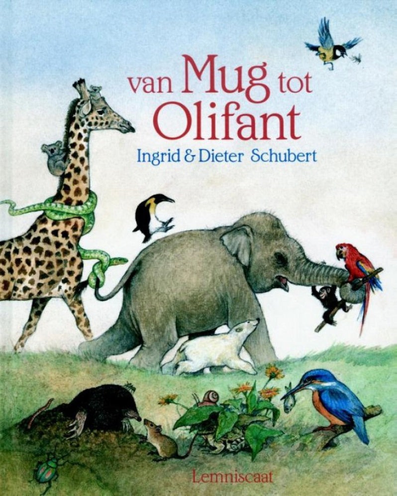 van-mug-tot-olifant
