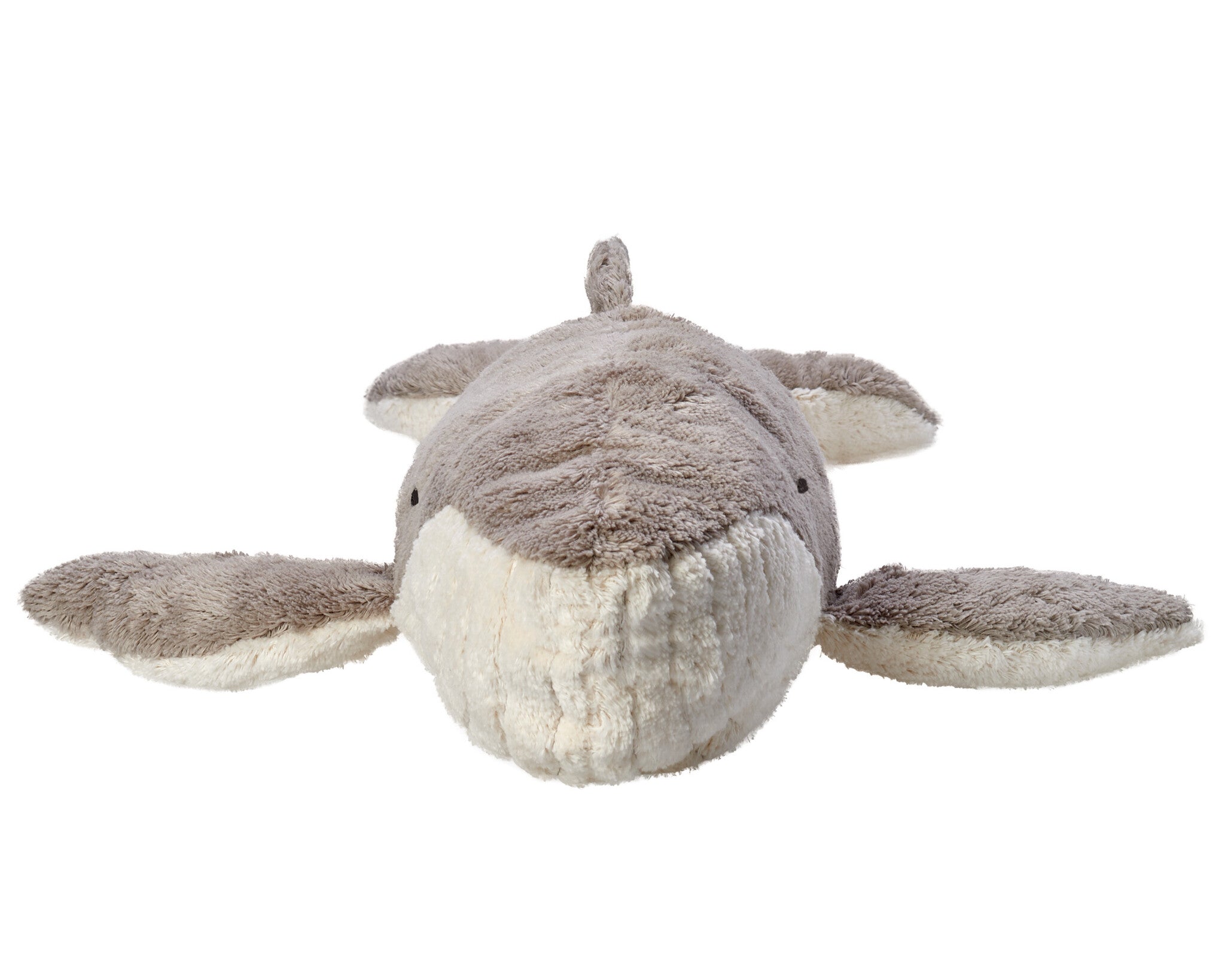 Walvis groot 2