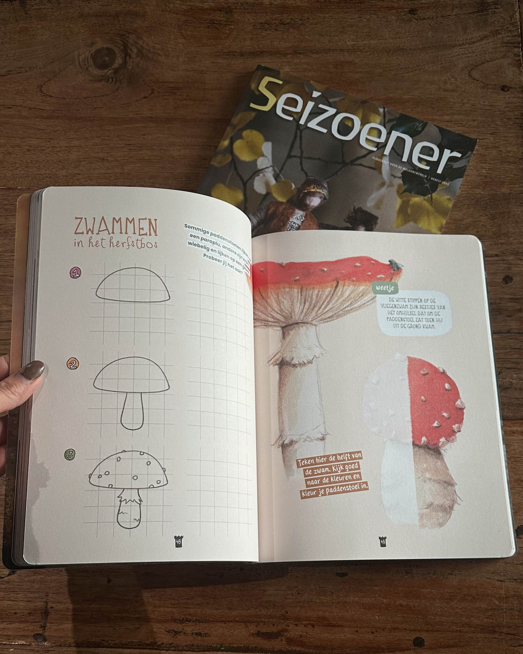 Wonderwoud herfst 2025-2