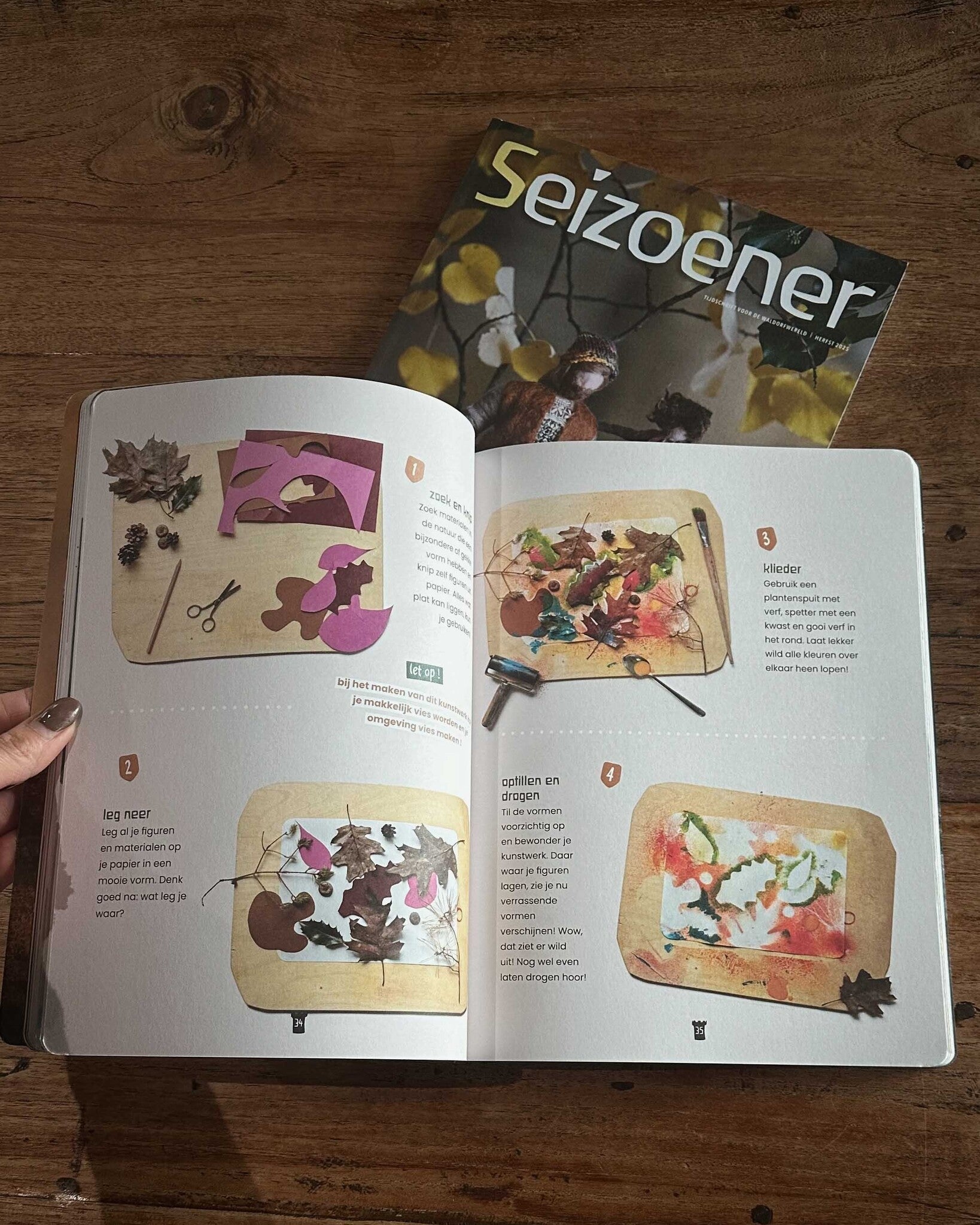 Wonderwoud herfst 2025
