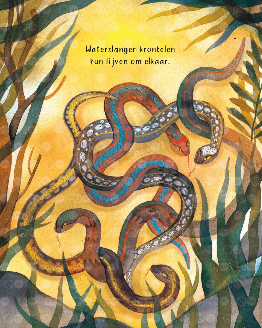 Zeggen dat ik van je hou Marilyn Singer prentenboek